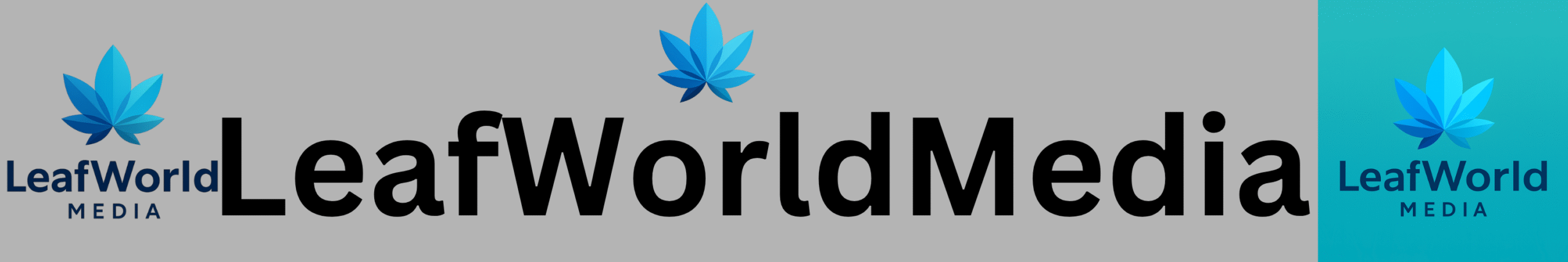 Boost Your Brand with LeafWorldMedia- Supercharge your digital presence through Leaf World Media’s cutting-edge marketing solutions. Visit www.LeafWorldMedia.LLC  to learn more about our services. Explore expert insights and exclusive offers on our blog. 📞 Call us: 718‑640‑2855 📧 Email: Info@LeafWorldMedia.com